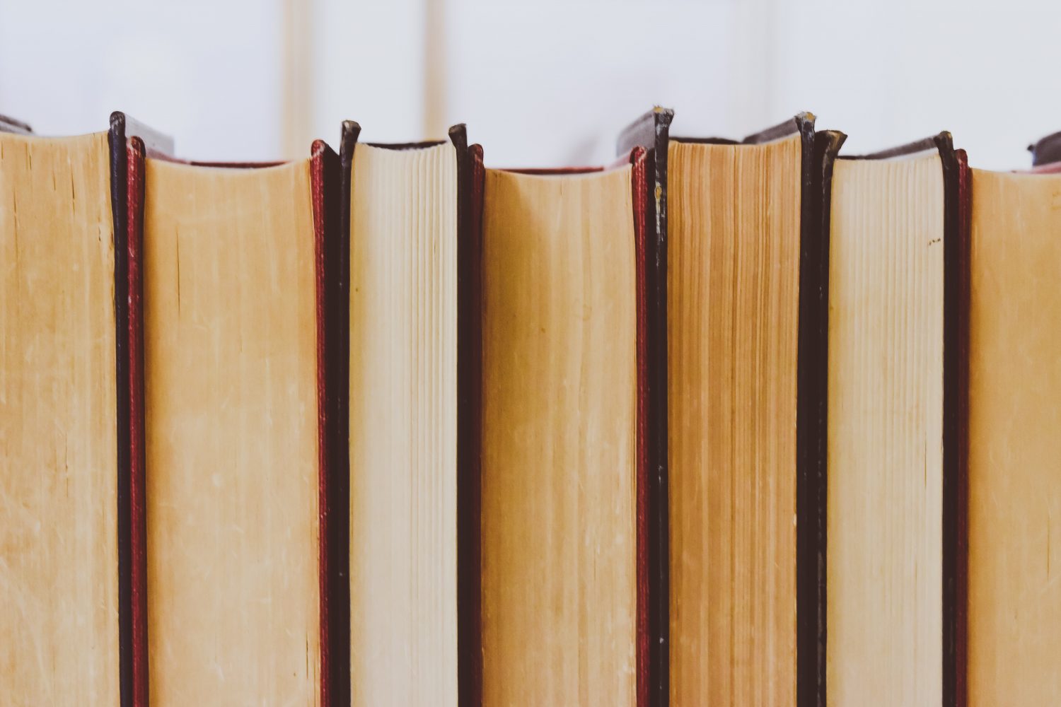 books in a line on a shelf