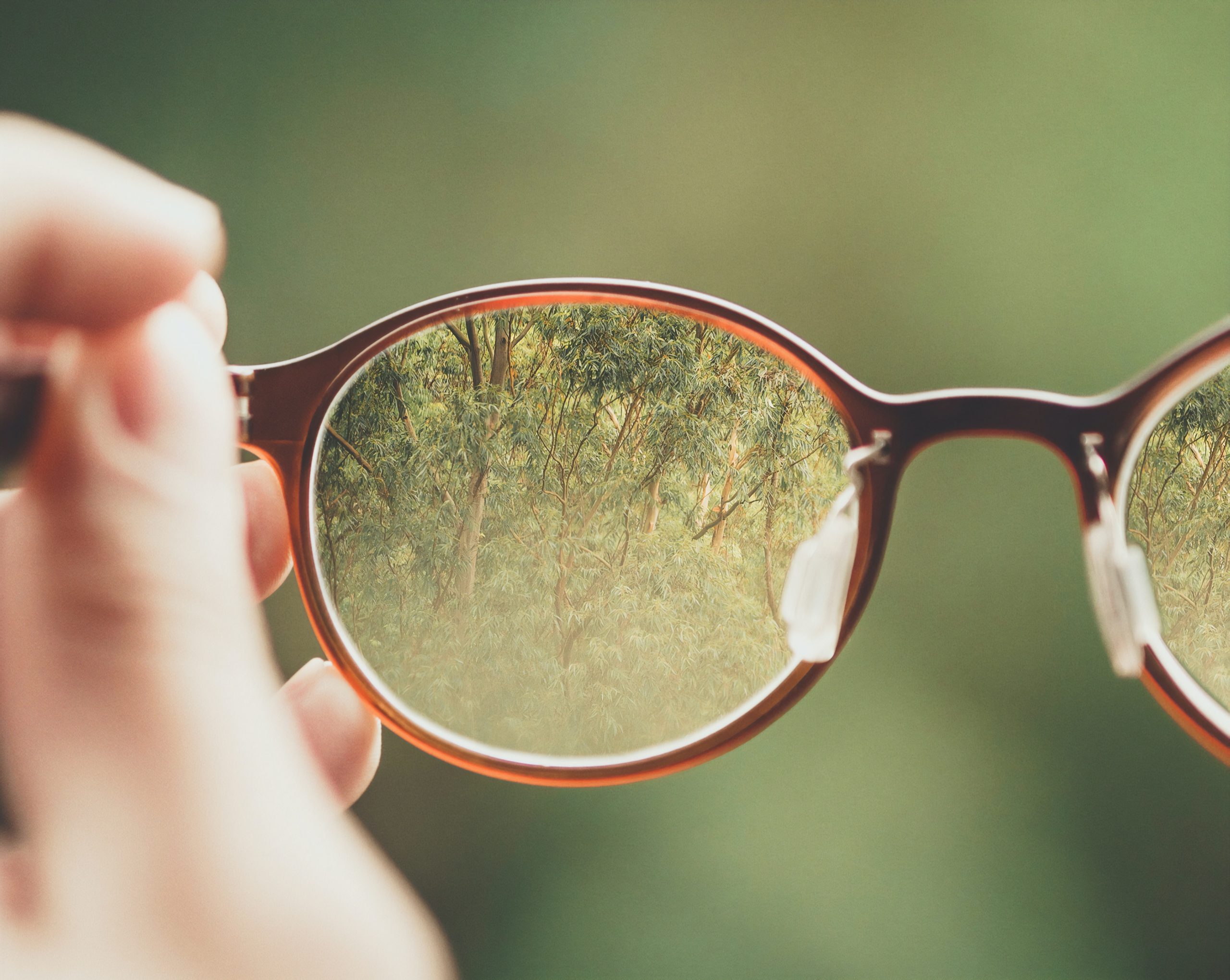 glasses magnifying a forest